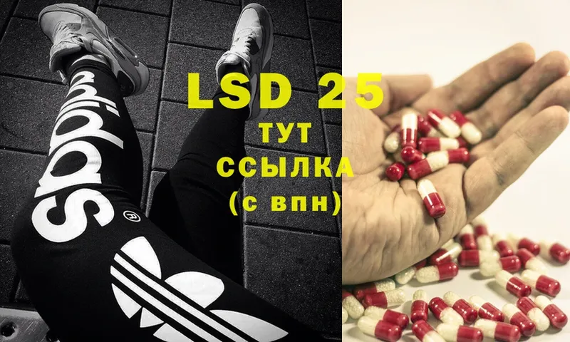 Лсд 25 экстази ecstasy  где можно купить   Красный Холм 